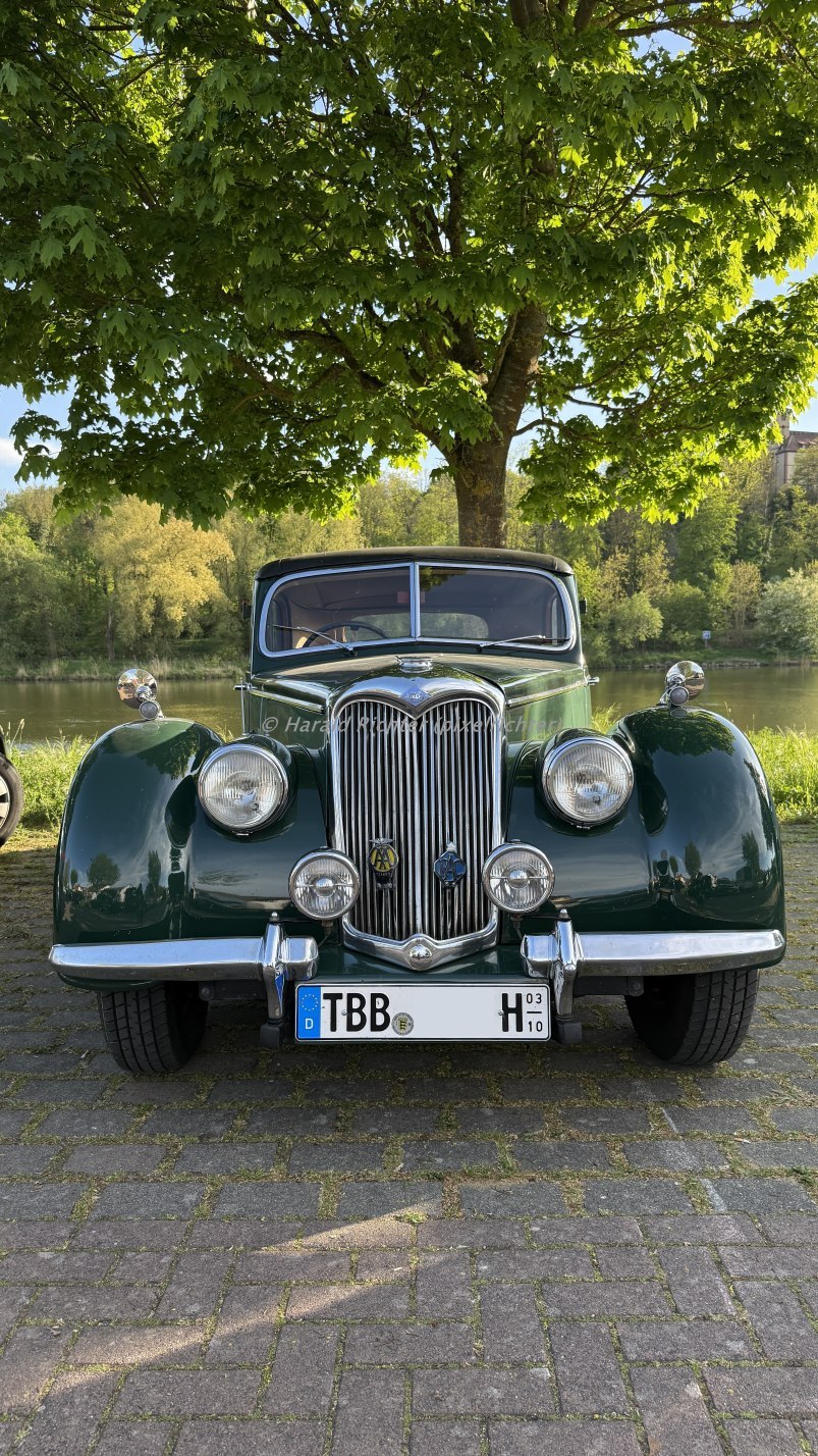 Riley (1).jpg